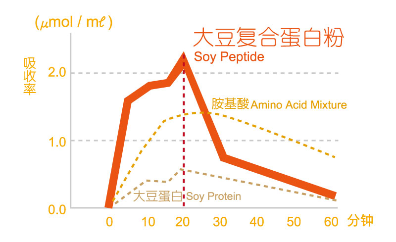 VitaCodes-大豆分子量比較-2