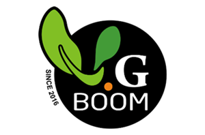 logo-vgboom